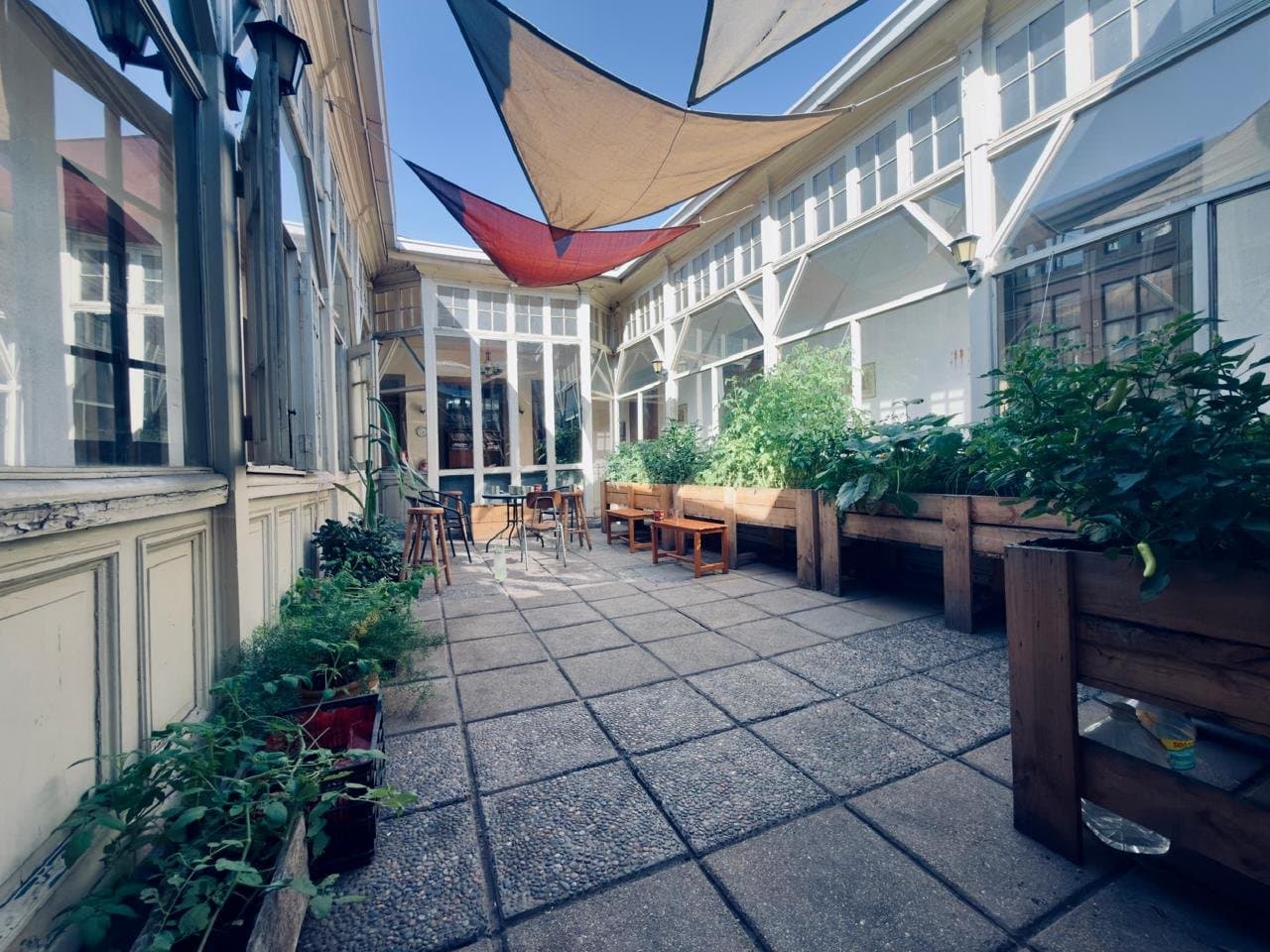 Centro de Rehabilitación y Sanación Raíces