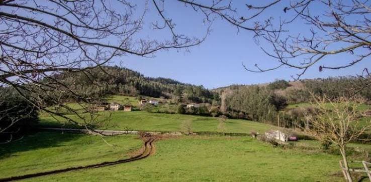 Asturvida | Centro de Desintoxicación y Tratamiento de Adicciones en Asturias foto 5