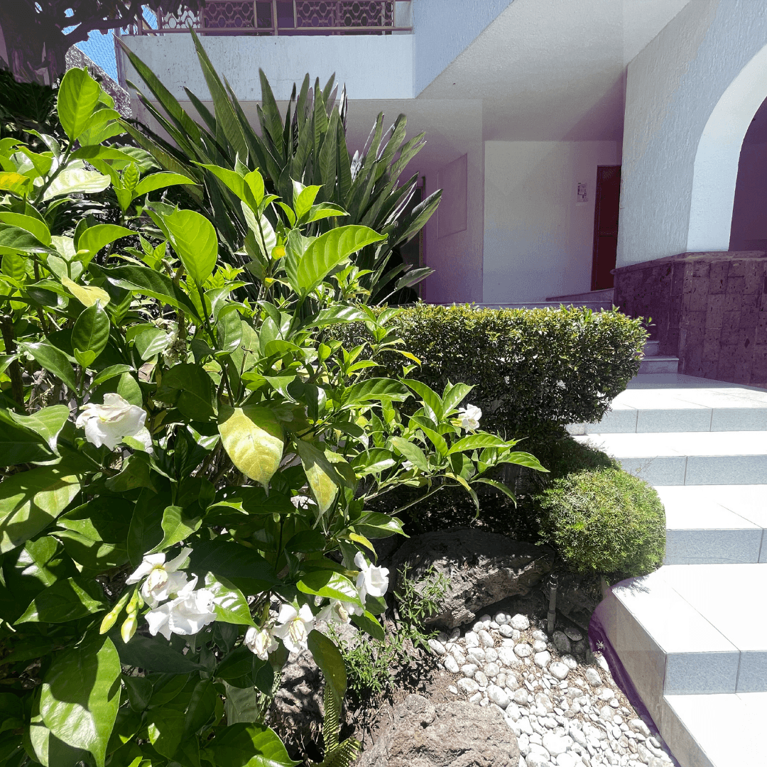 Clínica da Vida | Rehabilitación adicciones residencial y externo Guadalajara Jalisco México foto 3