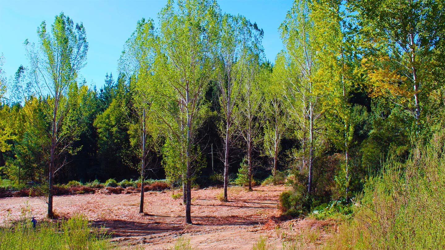 Reflorecer Peñaflor | Rehabilitación Mujeres Adicciones foto 5