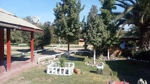 Fundación Cree En Ti · Centro de Rehabilitación