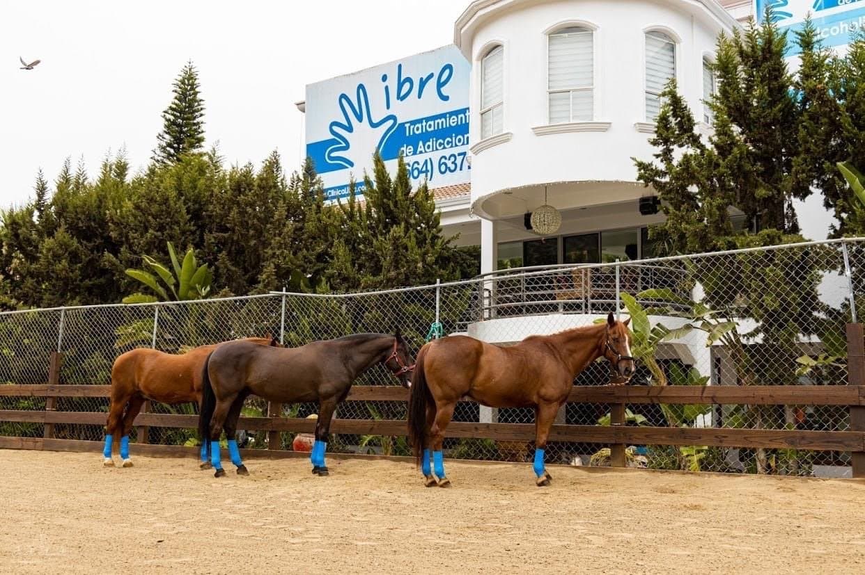 Clínica Libre