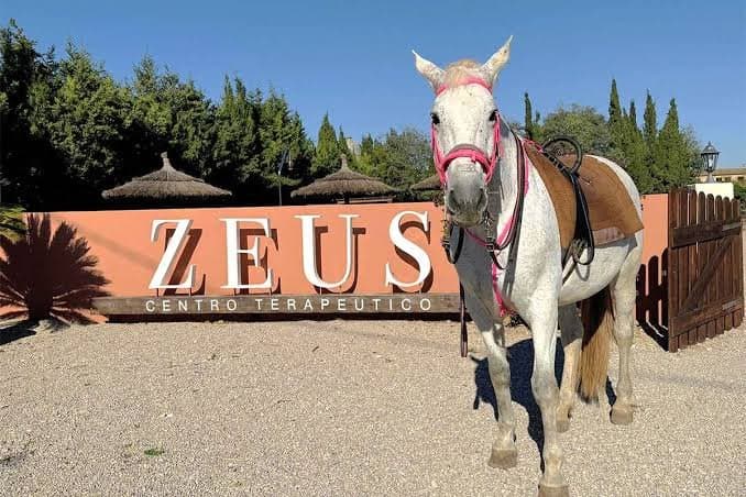 Zeus Centro Terapéutico — Rehabilitación y Adicciones en Tarragona foto 3